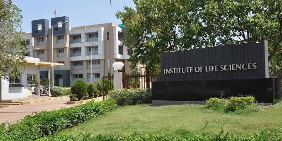 NISER Image 1