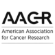 Publisher 4 Logo