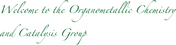 Welcome to the Organometallic Chemistry and Catalysis Group